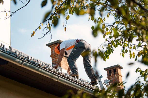 Tile Roofing Contractor in Lewisville, WA
