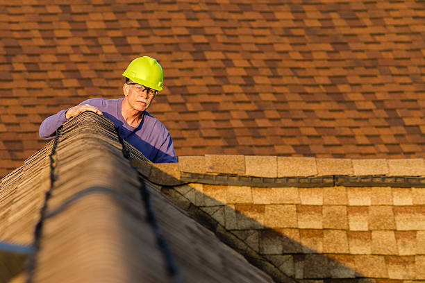Professional Roofing Contractor in Lewisville, WA