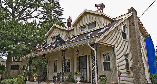 Best Roof Repair Services  in Lewisville, WA