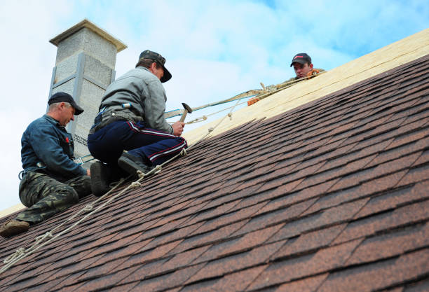 Best Roof Gutter Cleaning  in Lewisville, WA